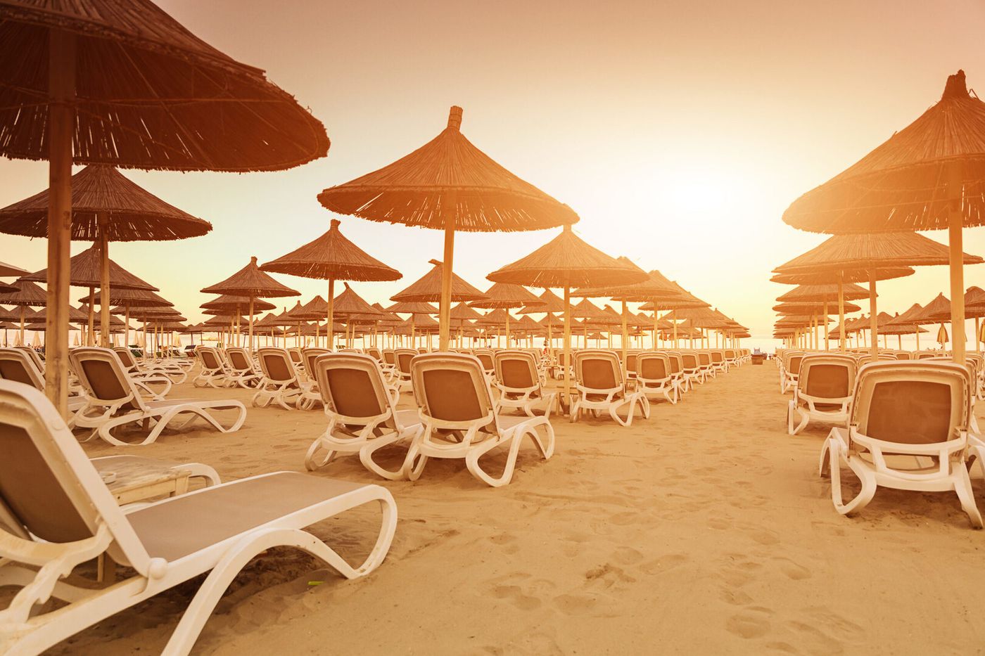 Bonita Classic  12.03.26