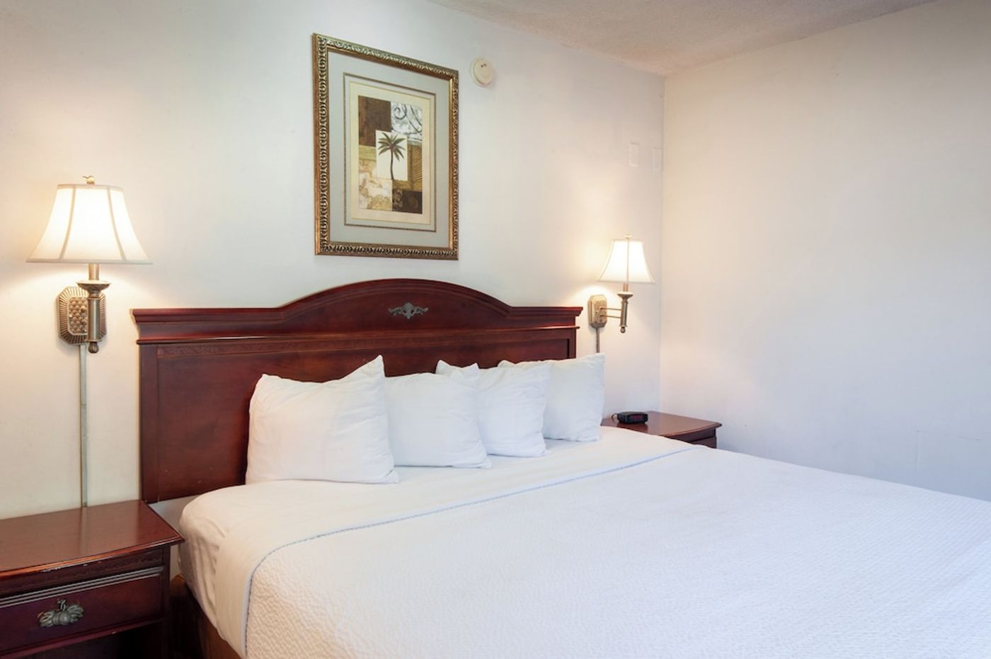expedia-3158872-25