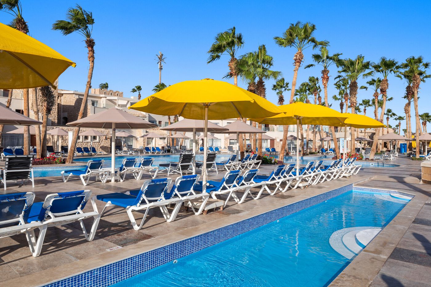 Pickalbatros Citadel 12.02