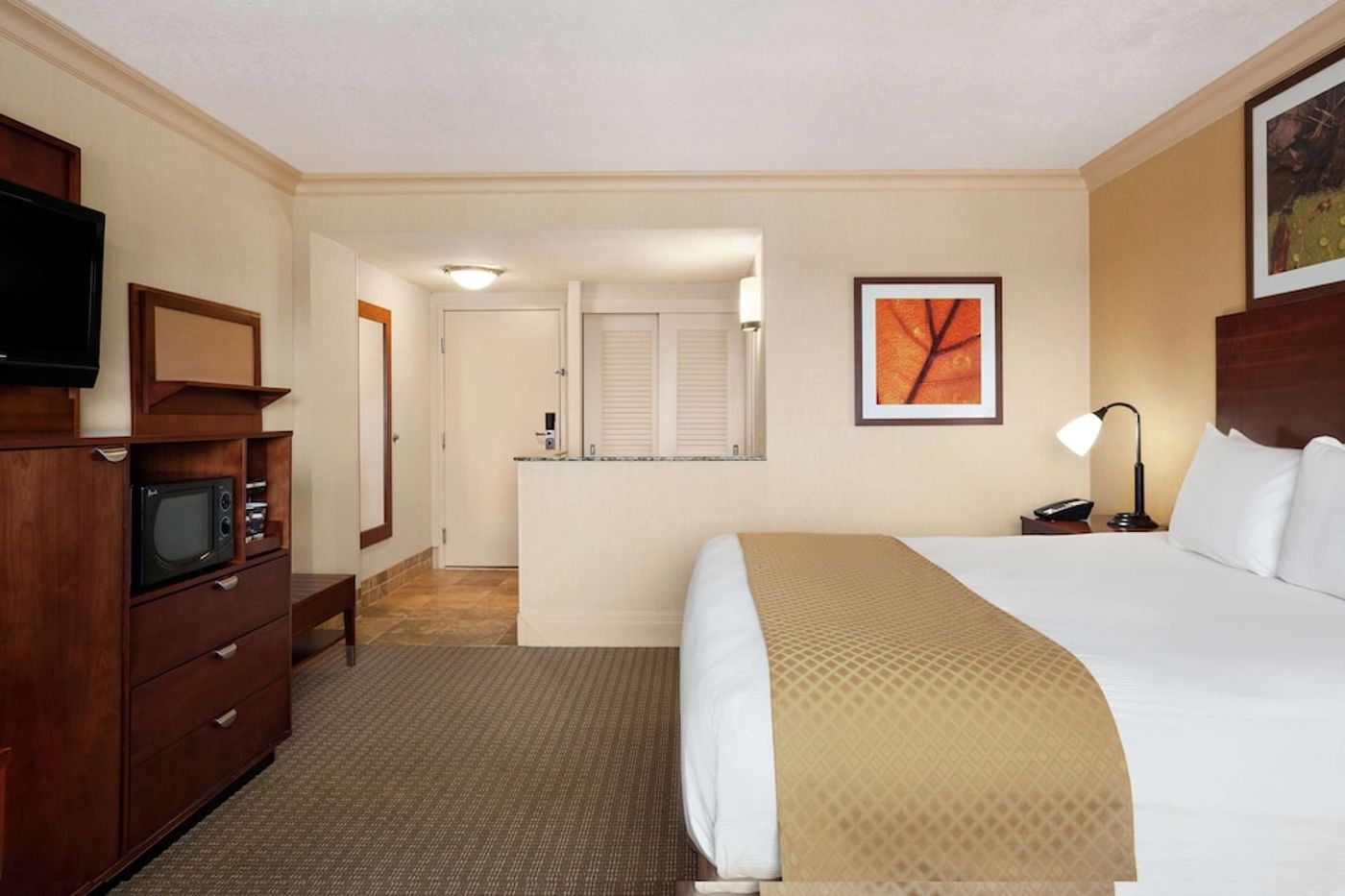 expedia-3156746-13
