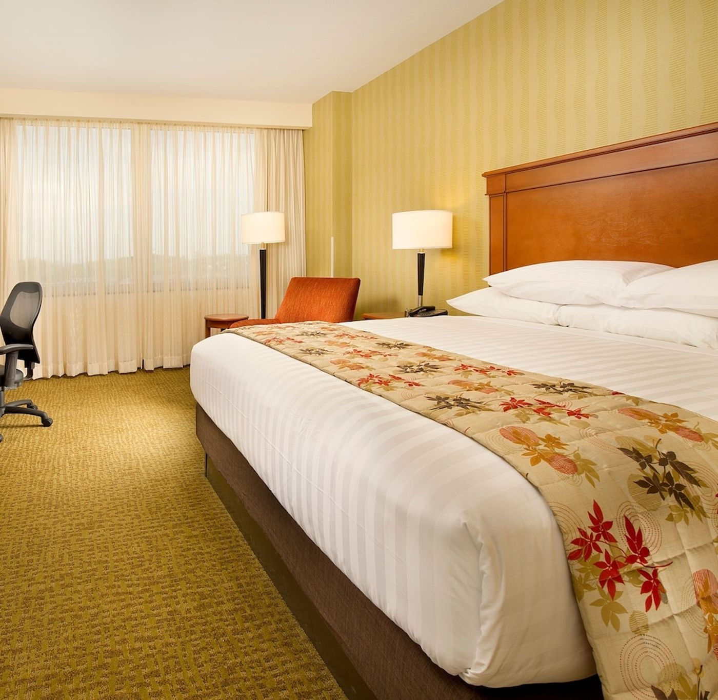 expedia-3160933-7