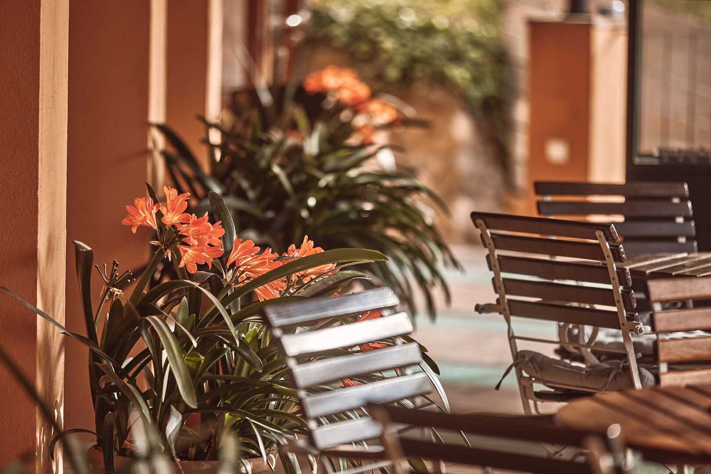 28.05.26 Maristel Hotel