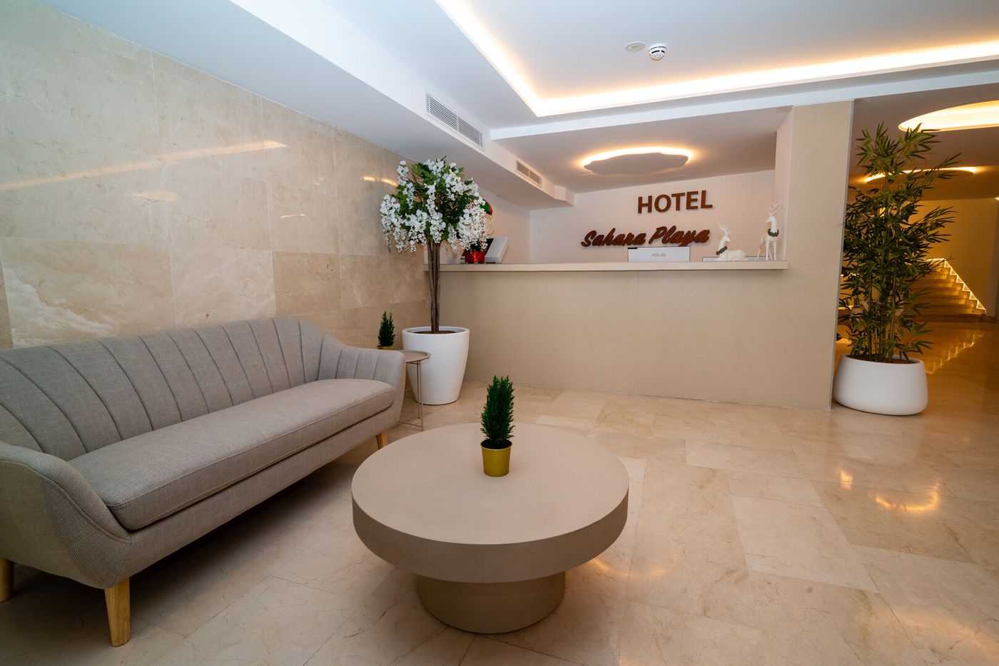 10.02.26 Sahara Playa