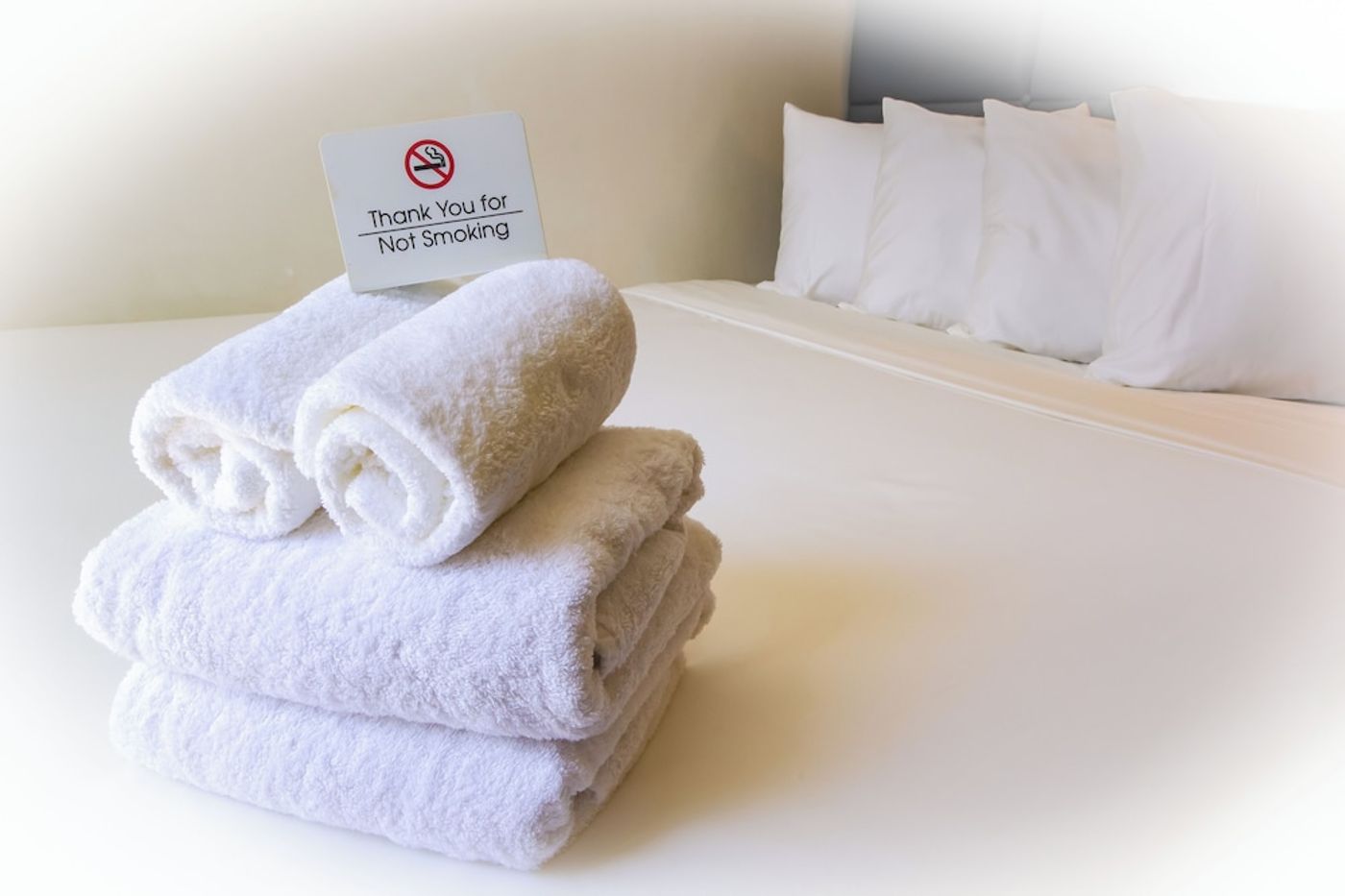 expedia-3162478-27