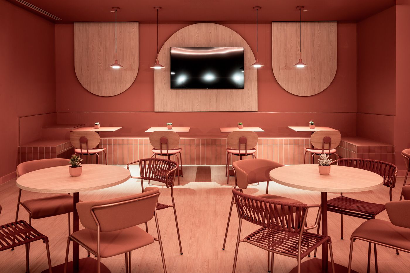 23.02.26 Sol Arona Tenerife