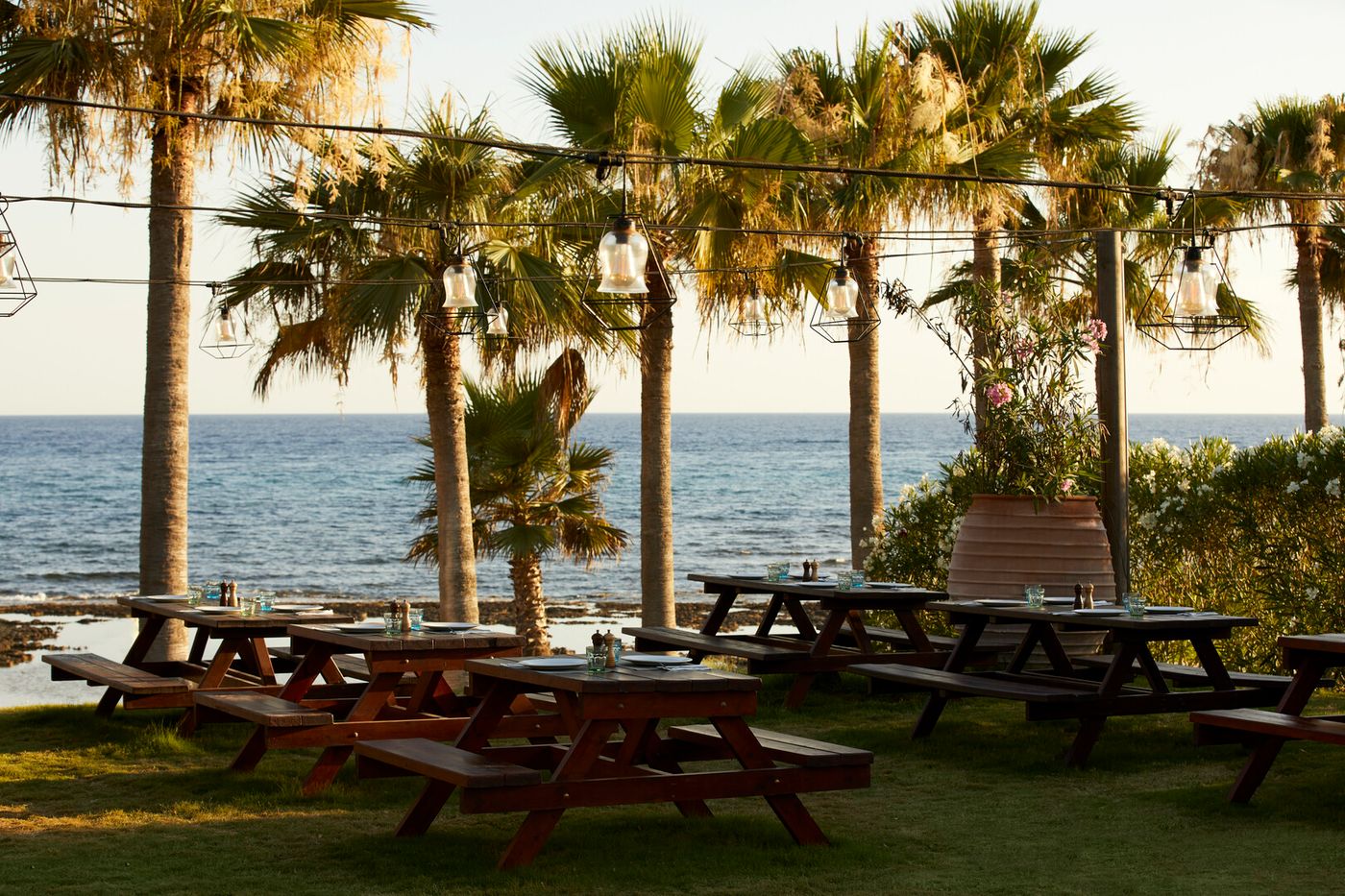 Mare Ayia Napa