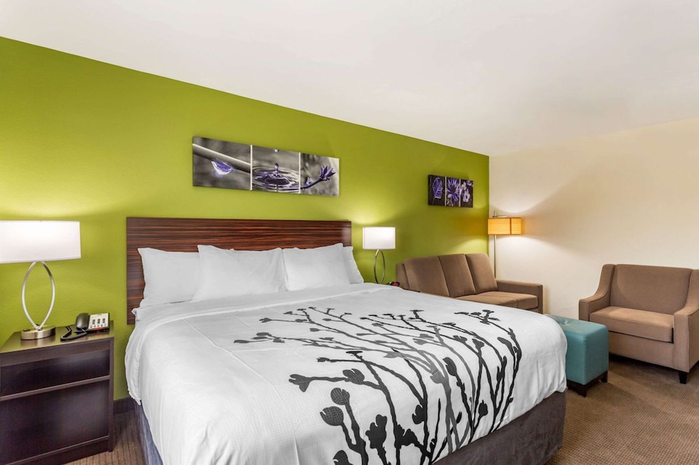 expedia-3160923-23