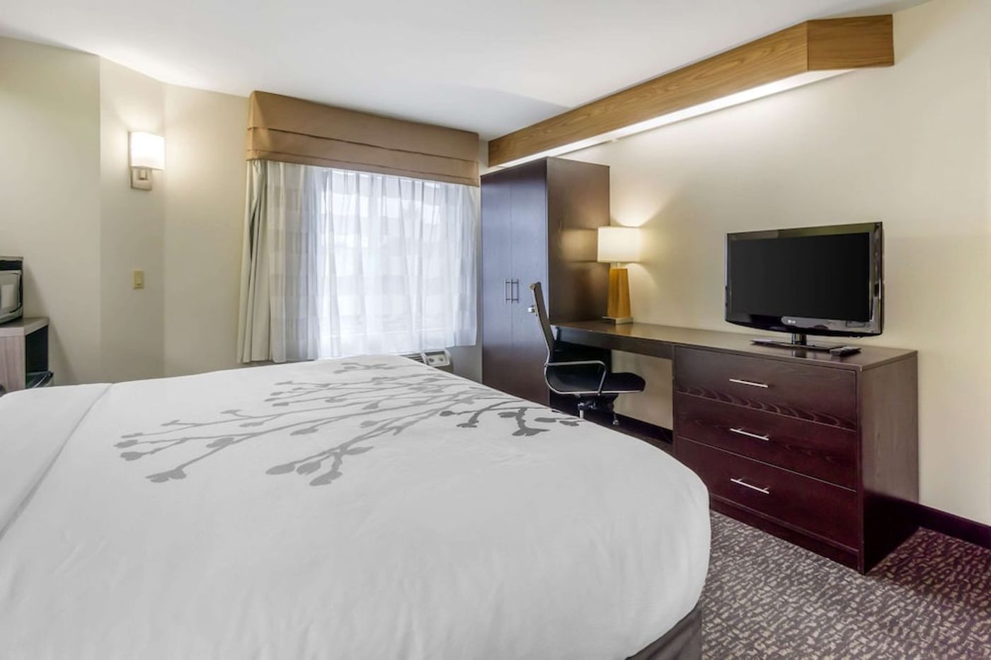 expedia-3157961-19