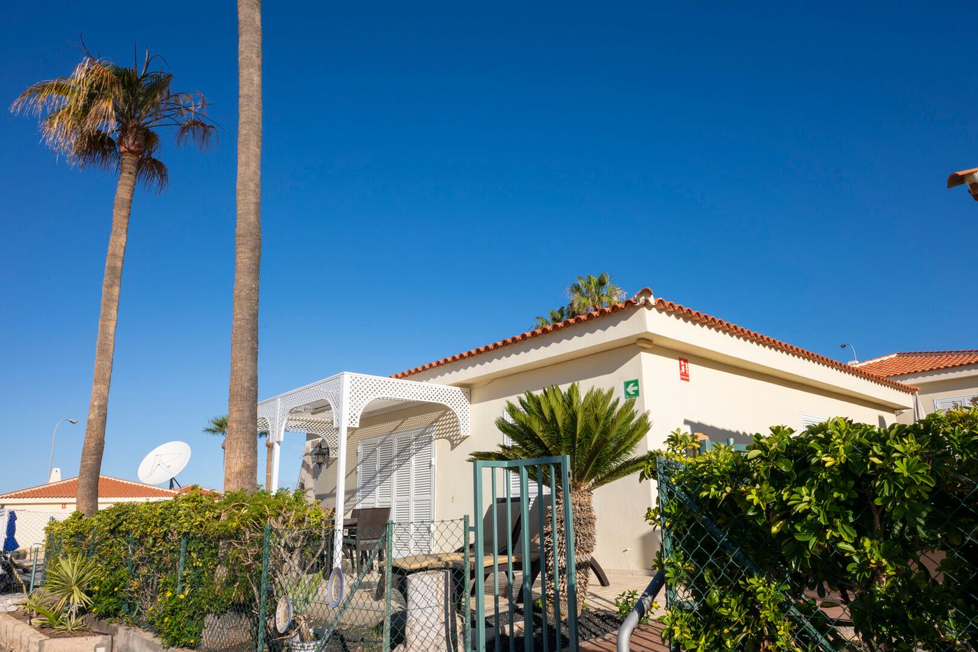 11.02.26 ONA SUENO AZUL