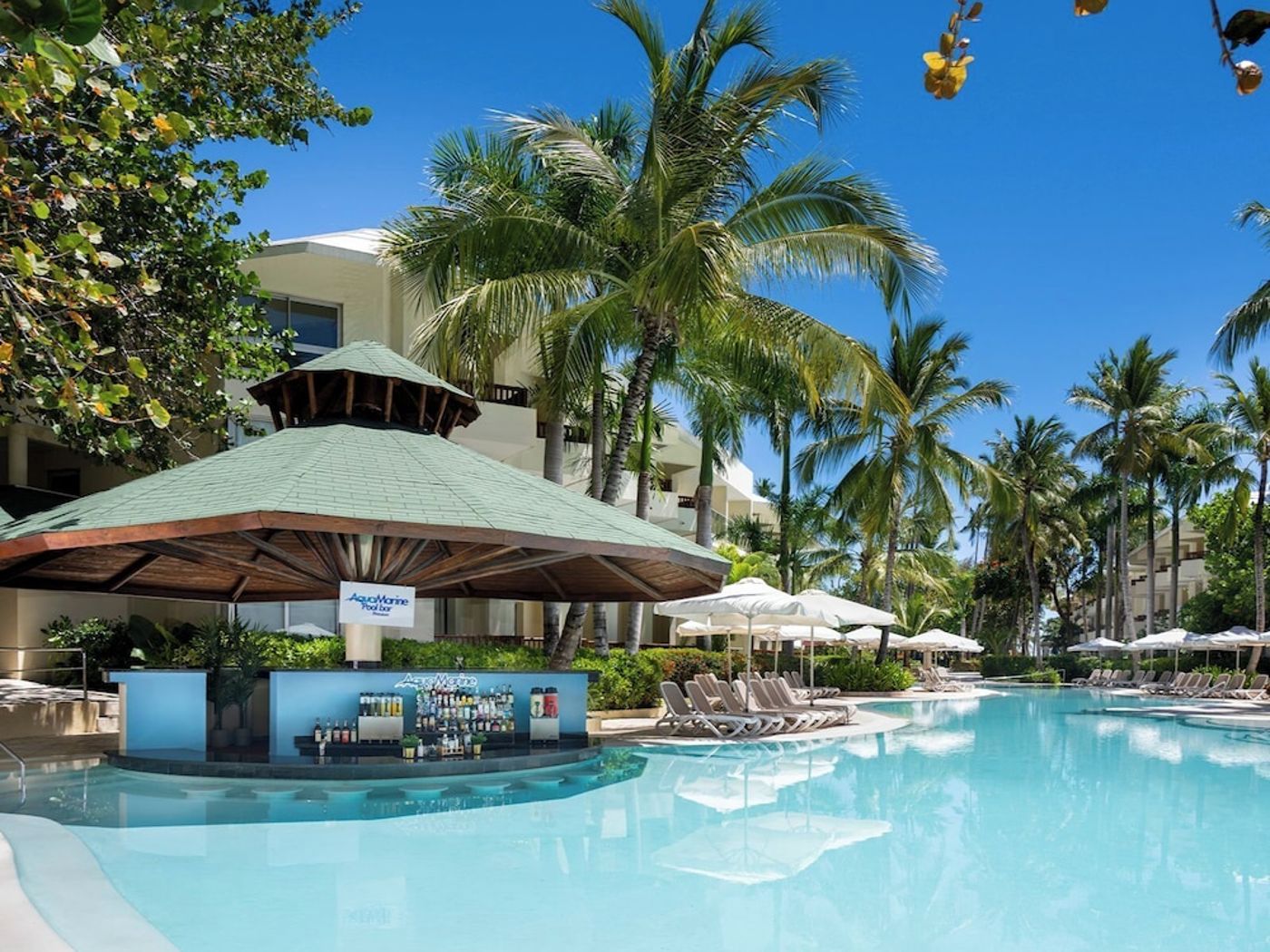 Impressive Premium Punta Cana