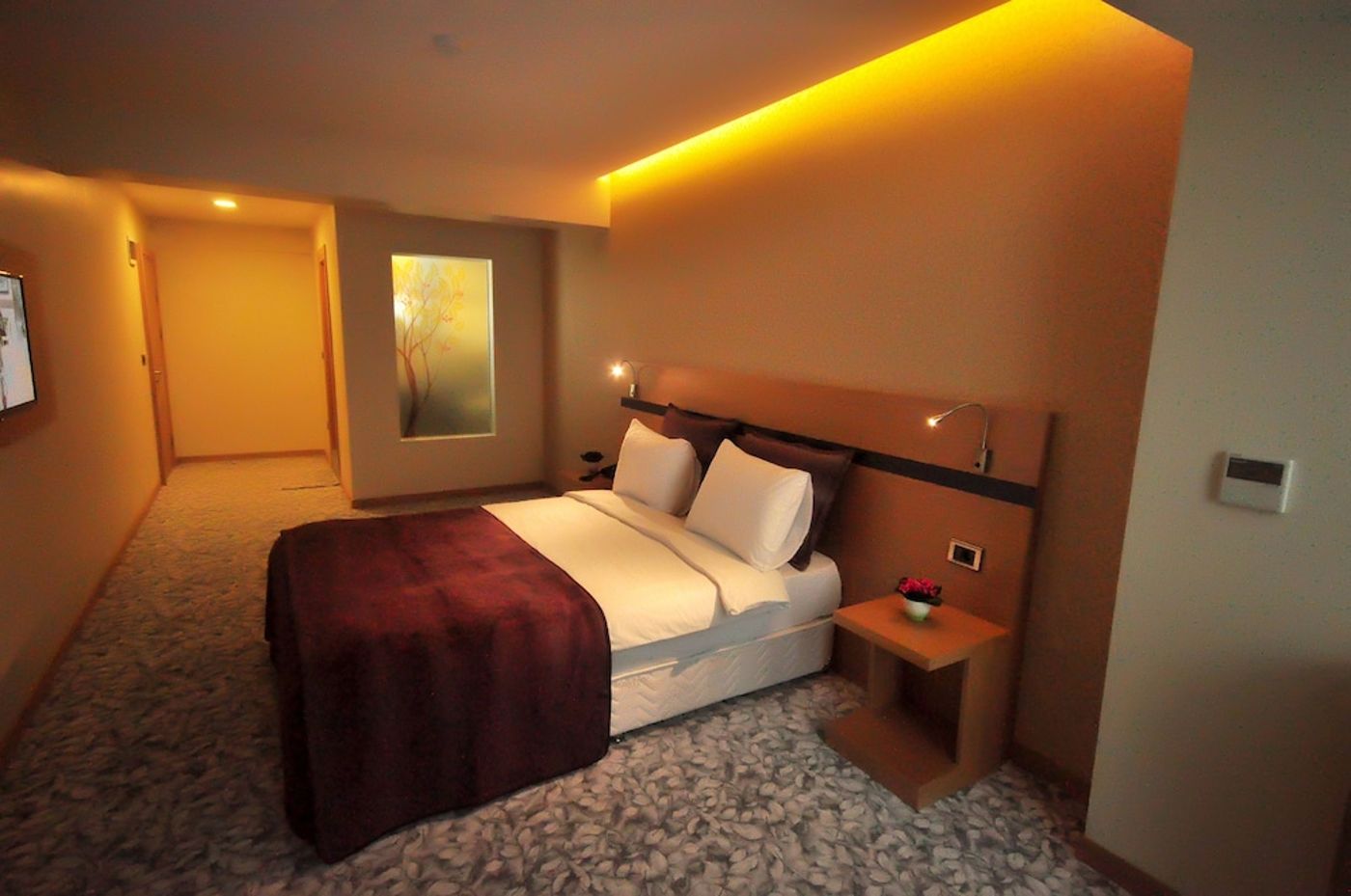 expedia-3161880-22