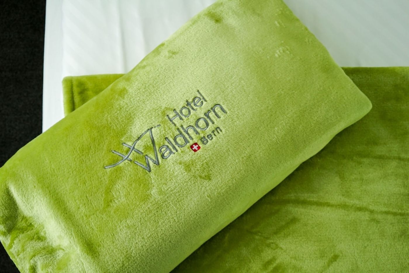 expedia-3157719-19
