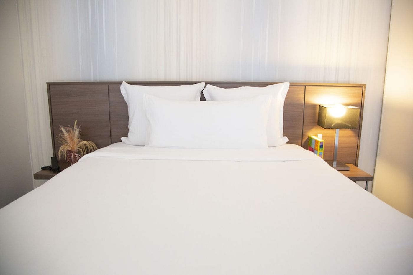 expedia-3156865-11