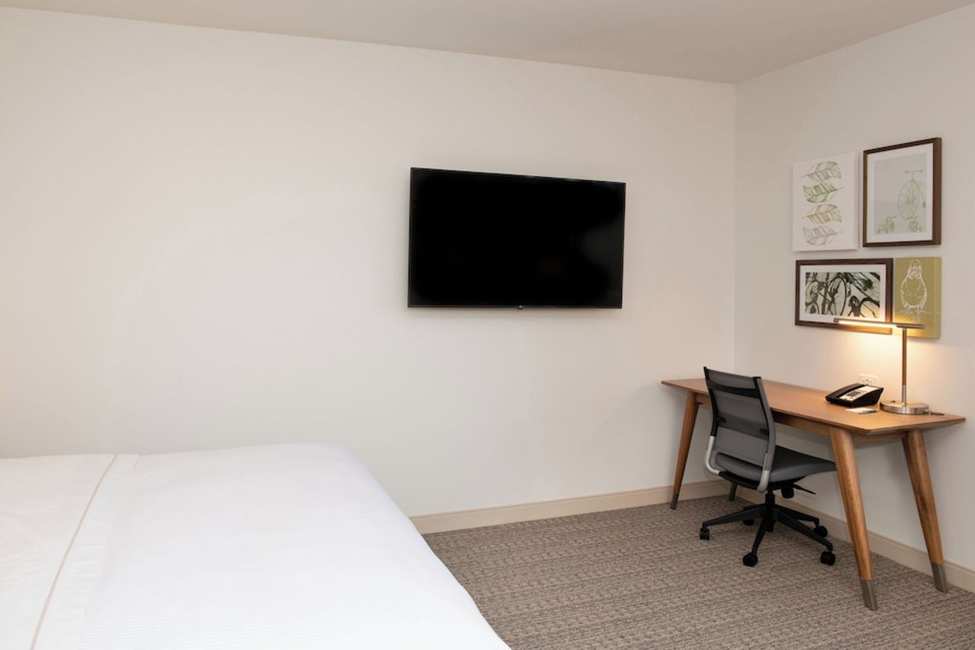 expedia-3161520-22