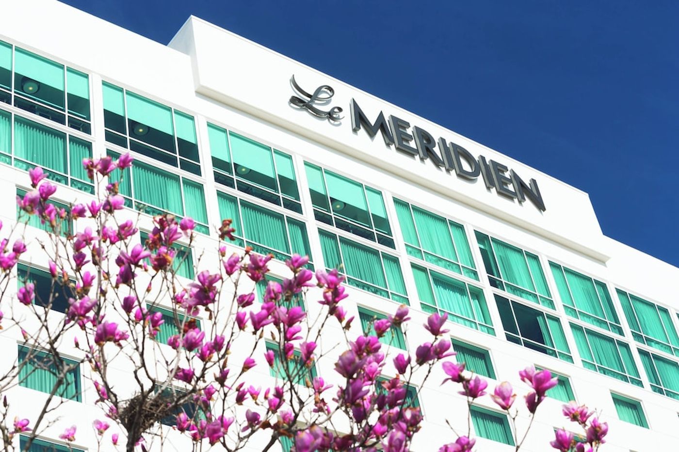expedia-3158400-4