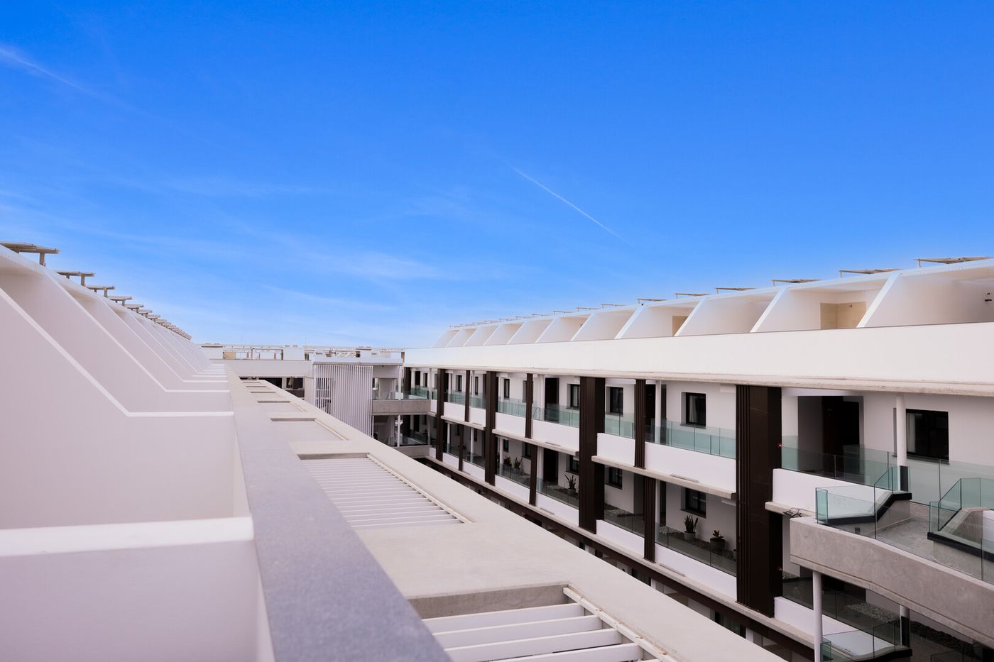 24.02.26 Coral Cotillo Reef