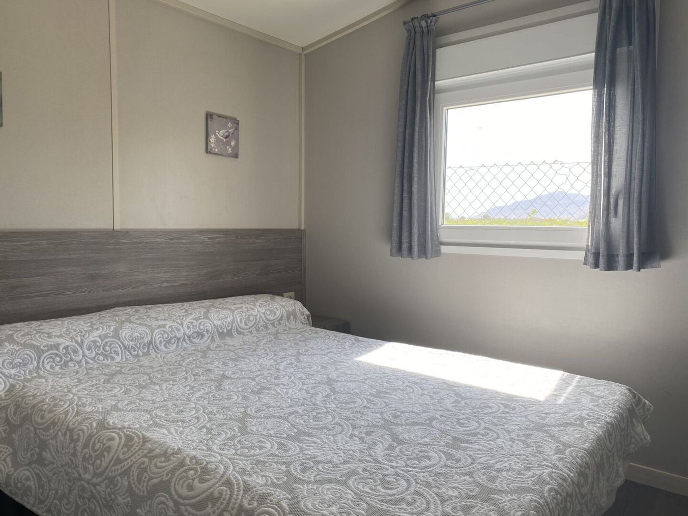 26.02.26 Alannia Costablanca