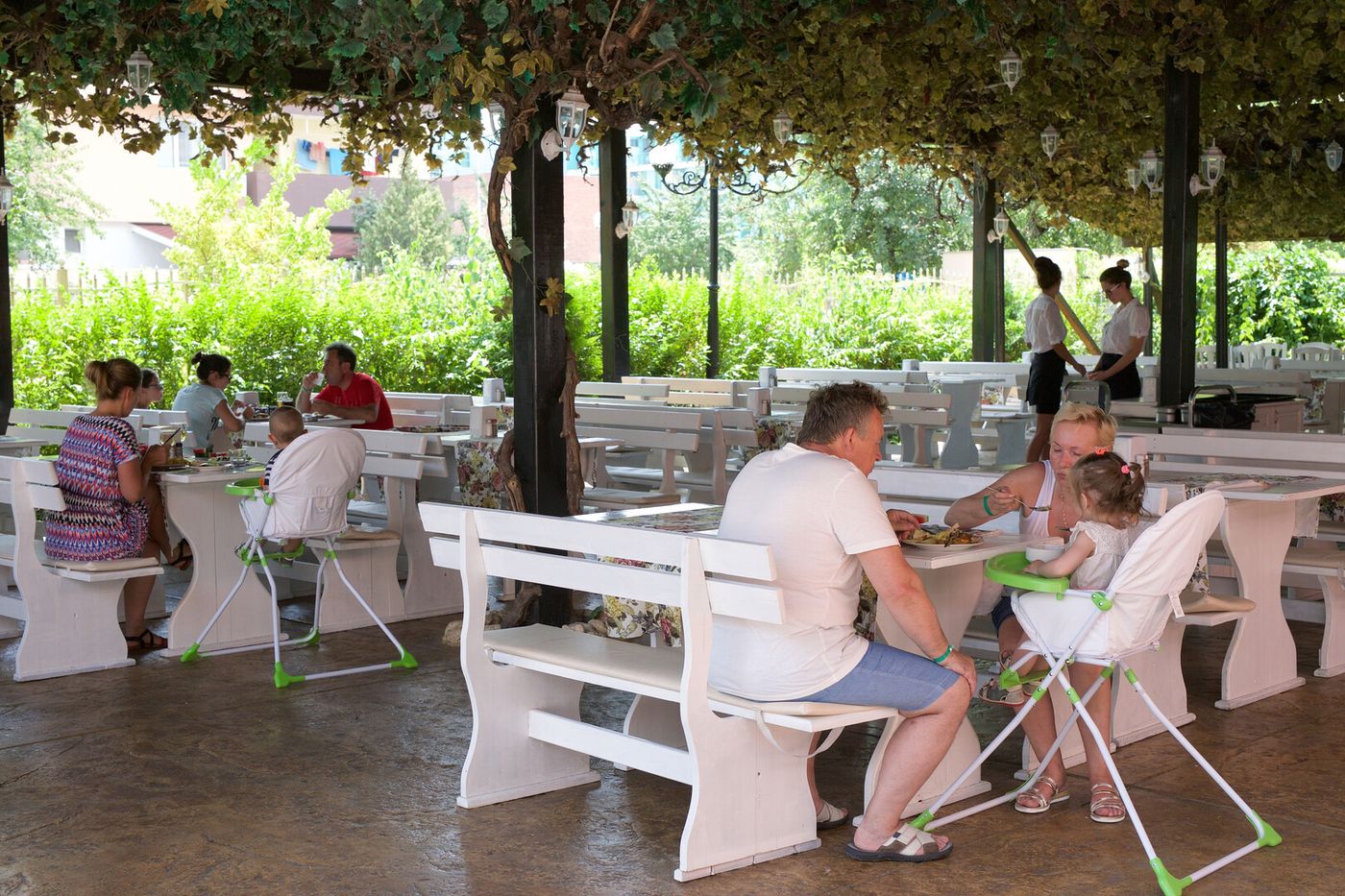 Izola Paradise 19.01.26