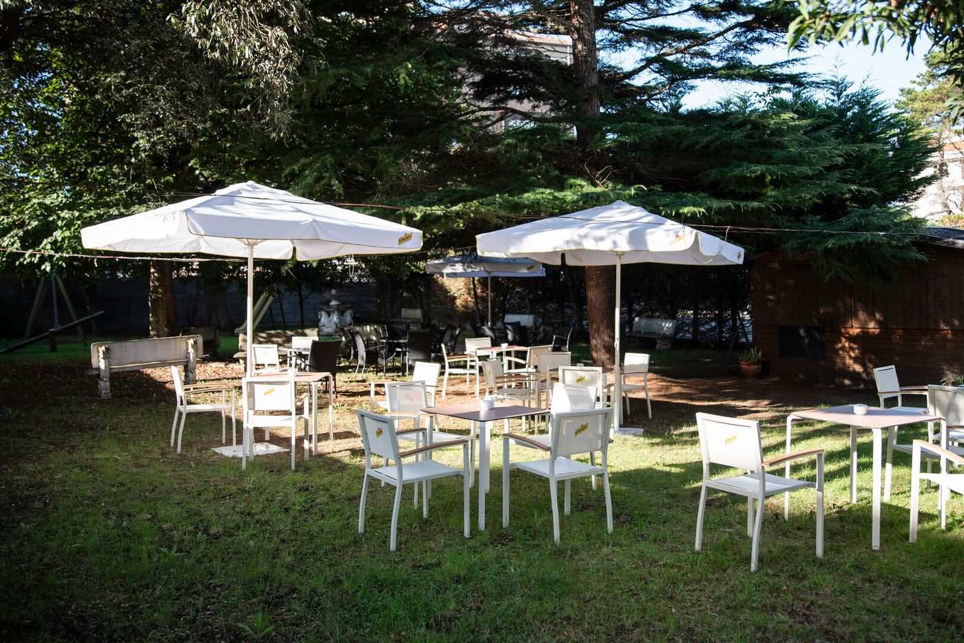 12.02.26 BLUESEA Noja