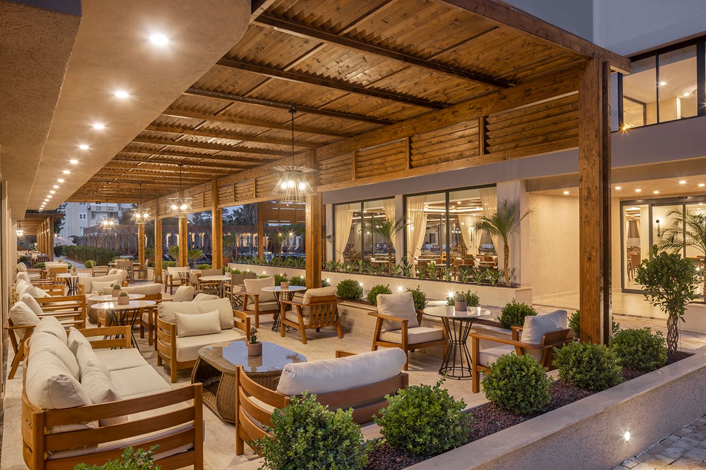 Kaia Coracesium