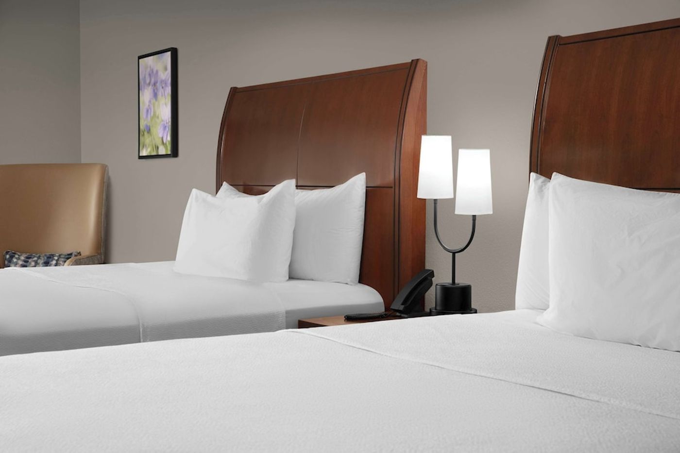 expedia-3162079-13