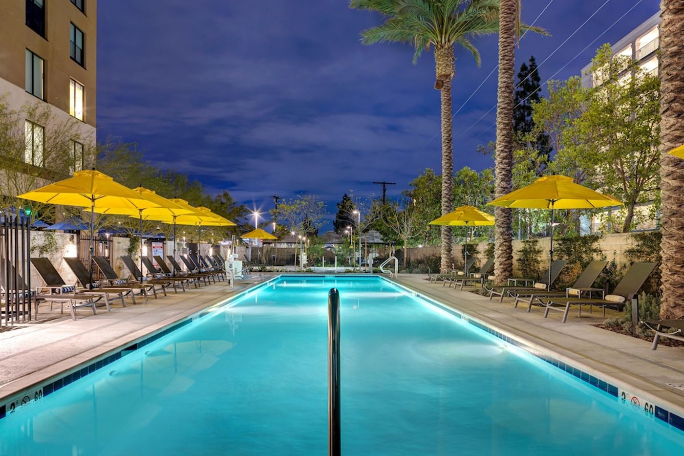 expedia-3156445-31