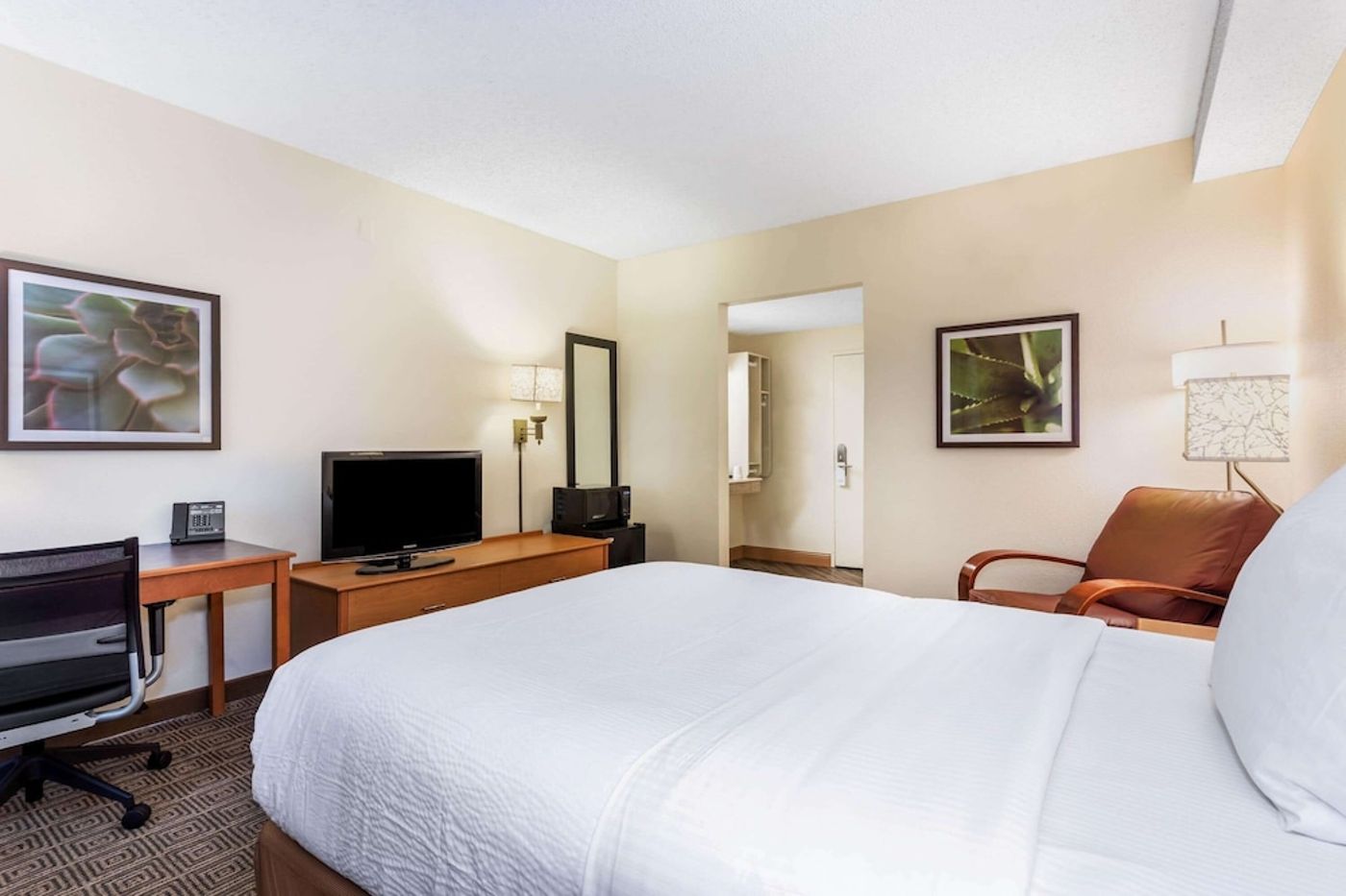 expedia-3166744-3