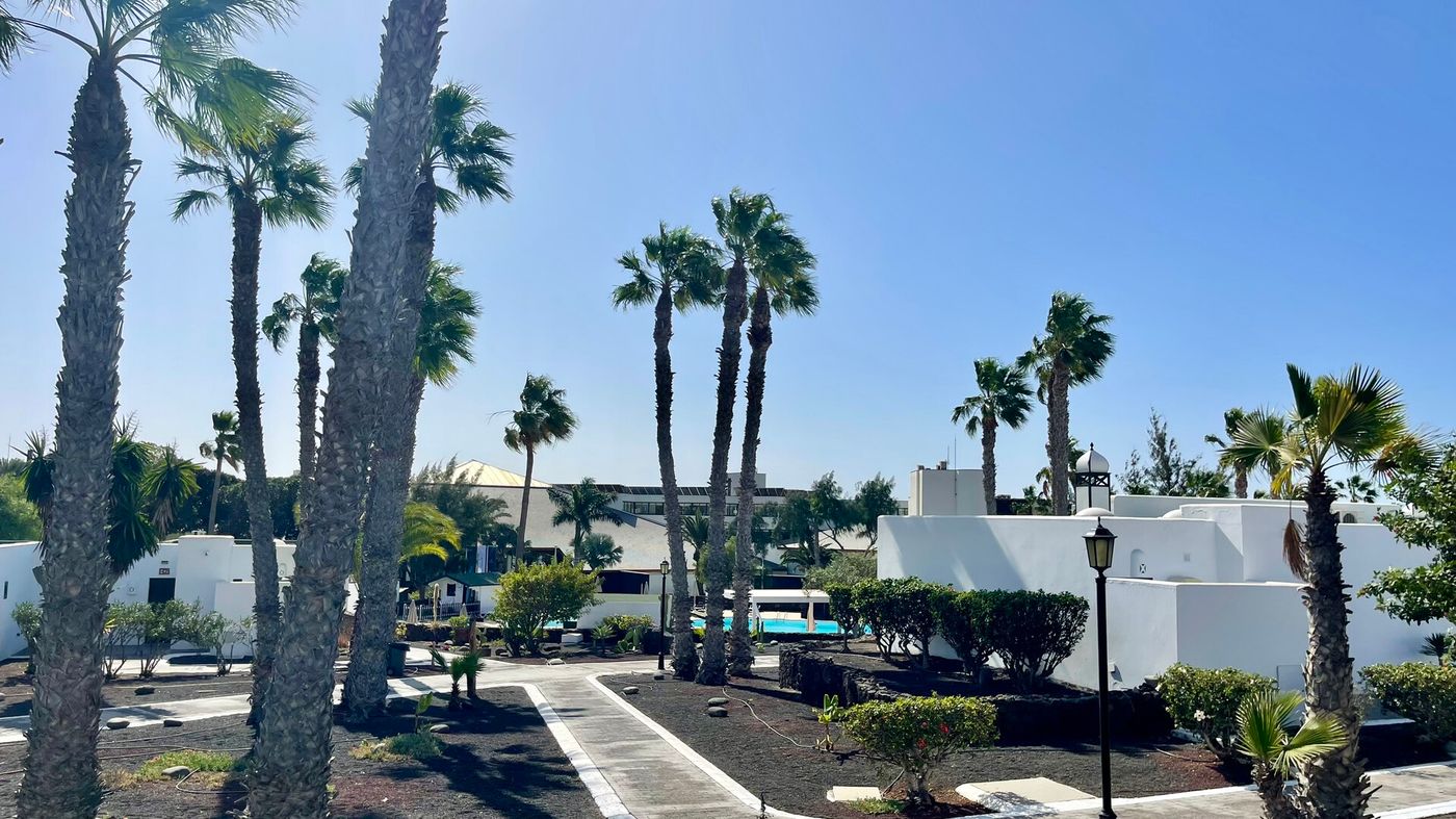 13.03.26 PALMERAS GARDEN