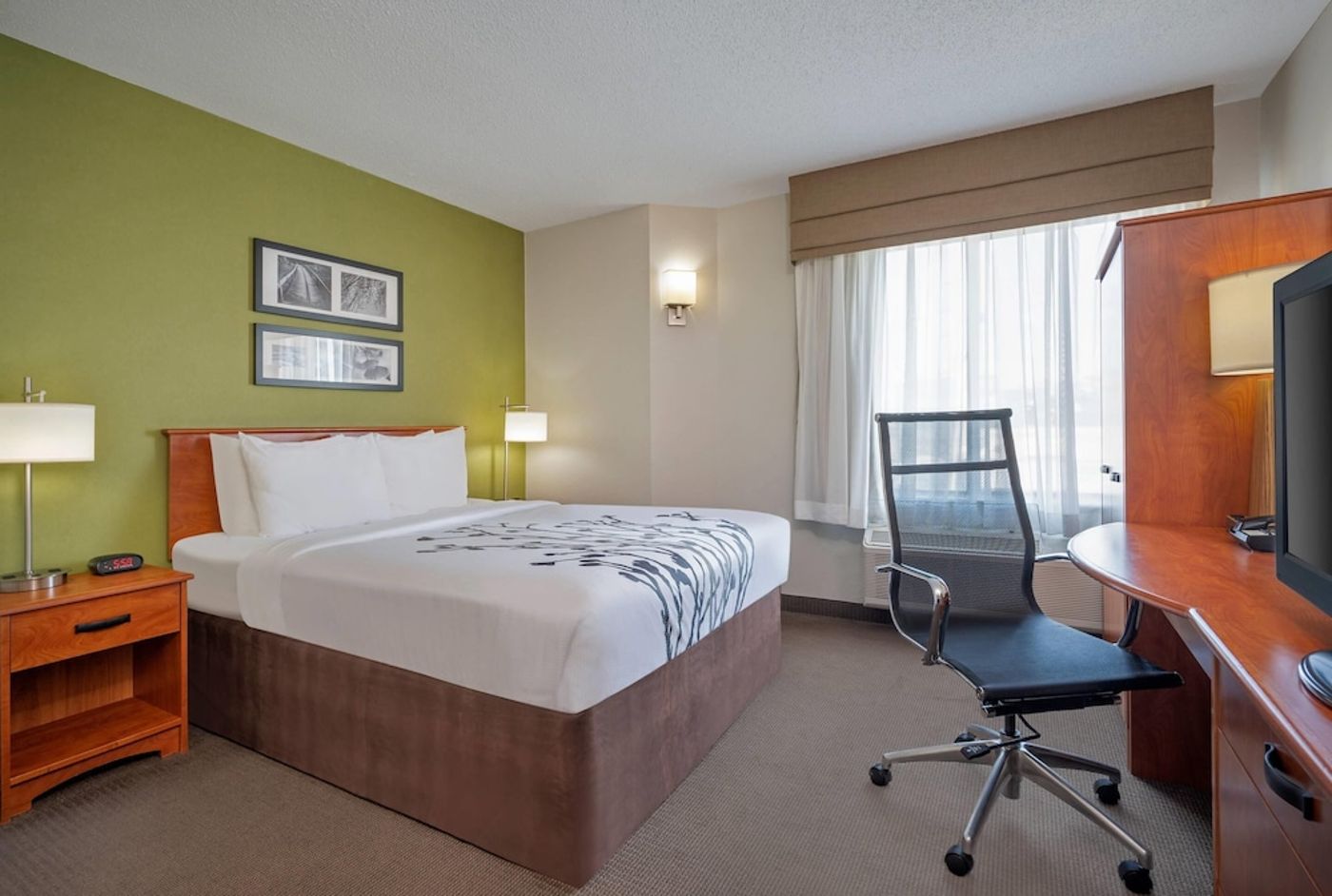 expedia-3158675-28
