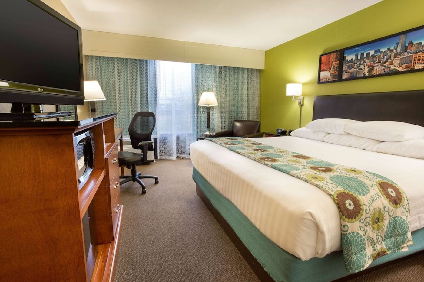 expedia-3160782-18