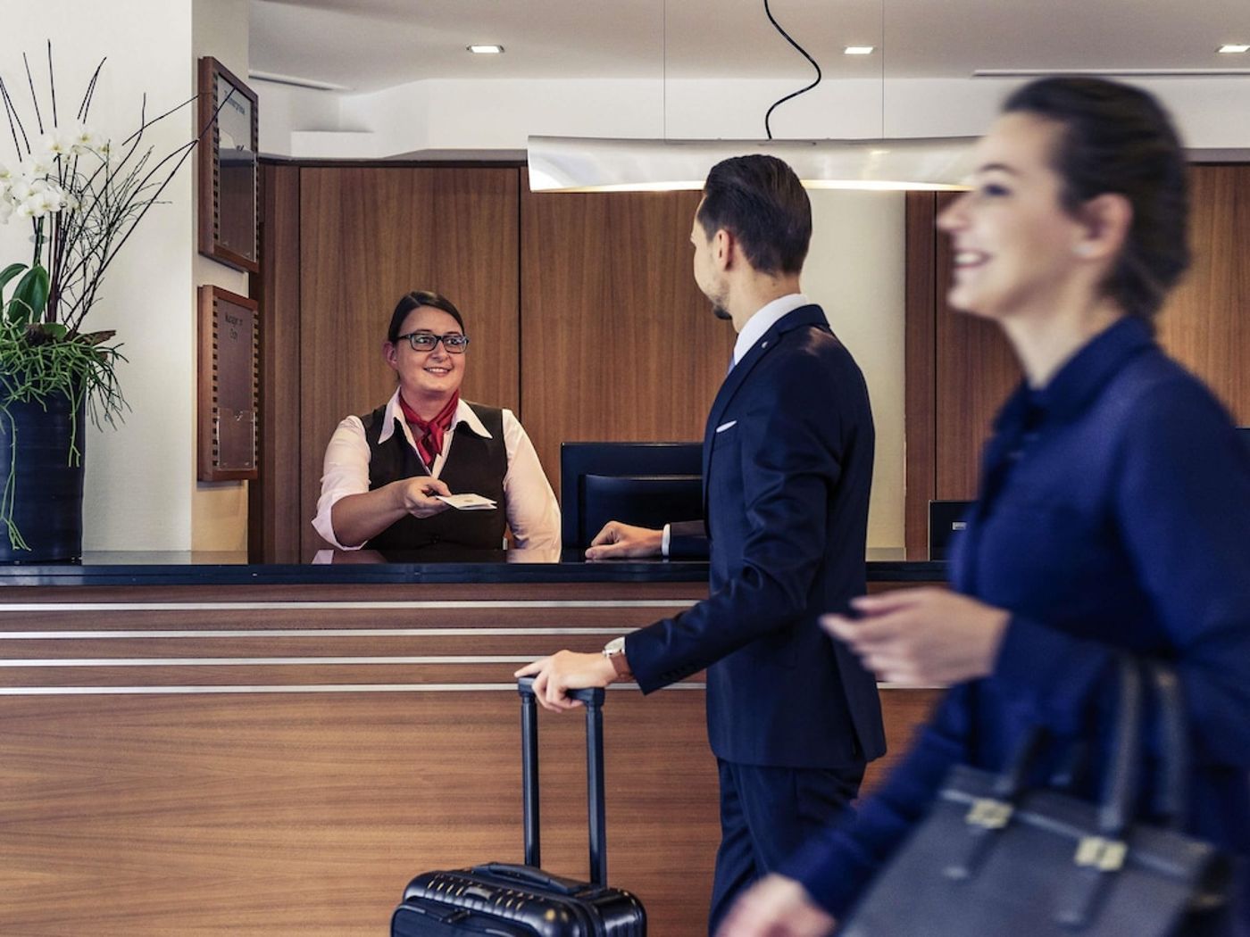 expedia-3156886-2
