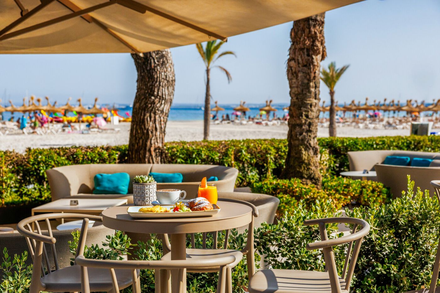 Viva Golf - Adults Only 18+