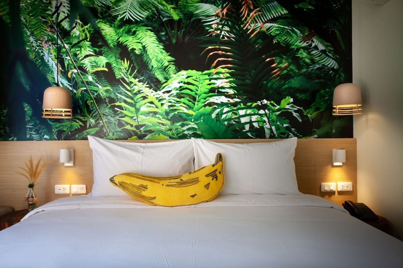 expedia-3156786-14