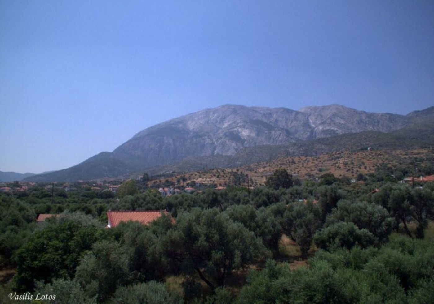 Sofia Hotel