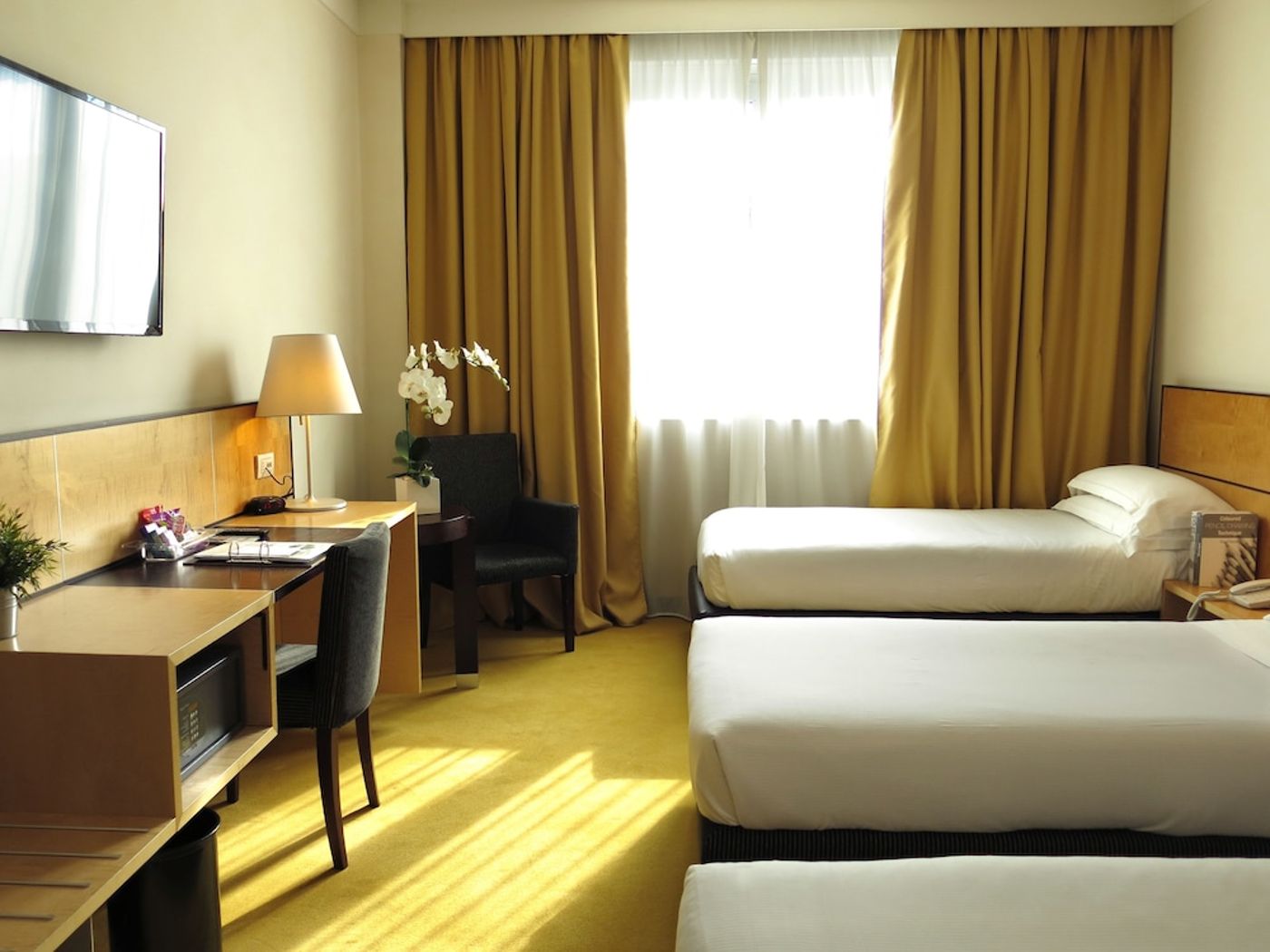 expedia-3045984-24