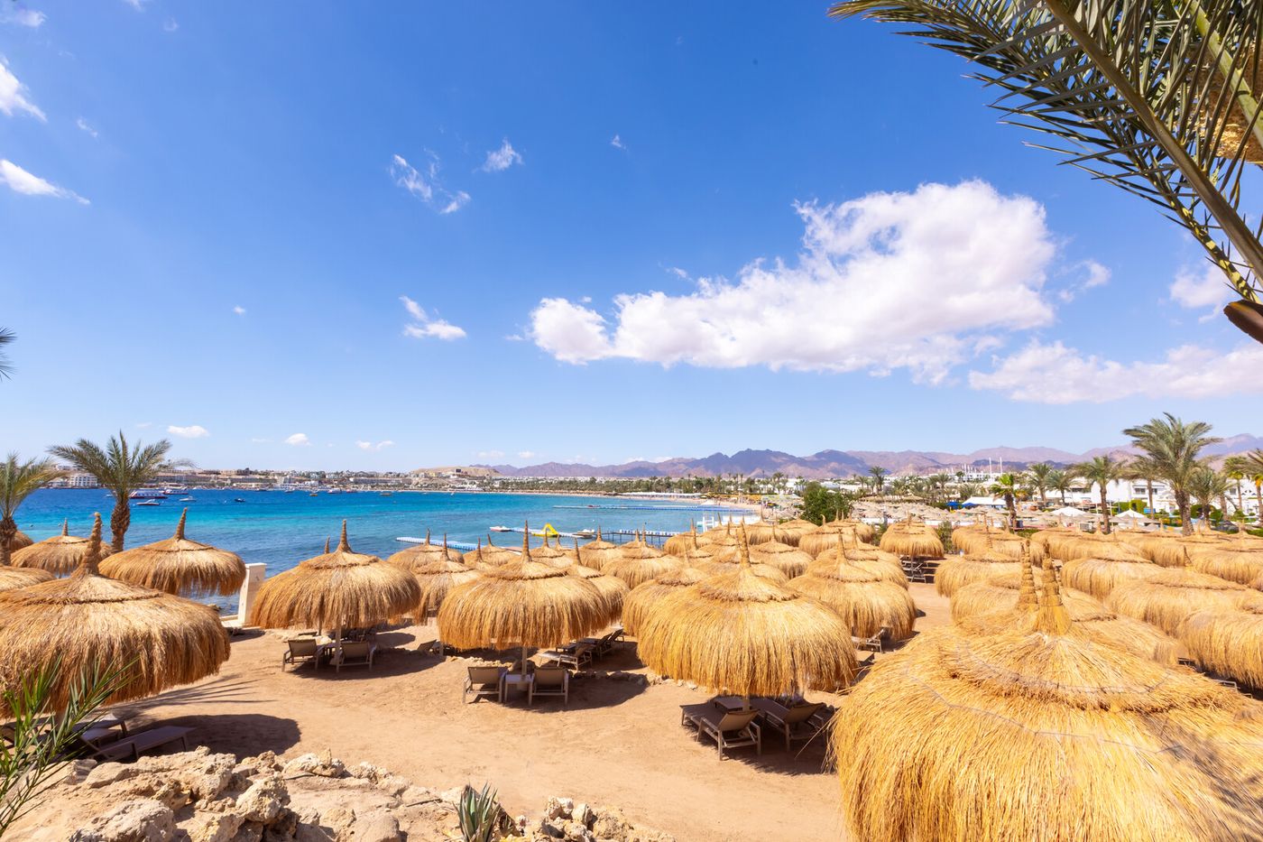 Swissotel Sharm El Sheikh 27.03