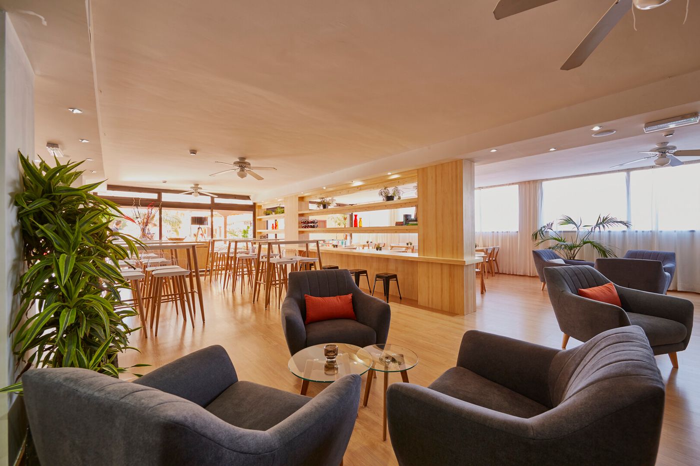 24.03.26 Coral Los Alisios