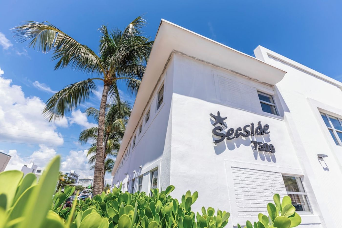 expedia-3162378-2