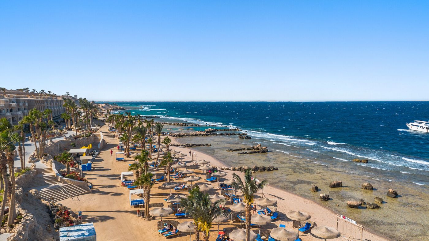 Pickalbatros Citadel 12.02