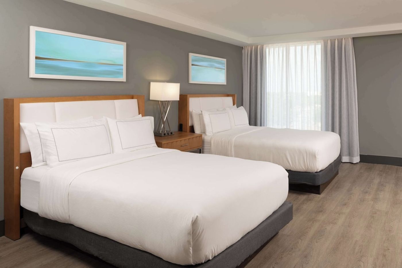expedia-3156828-5