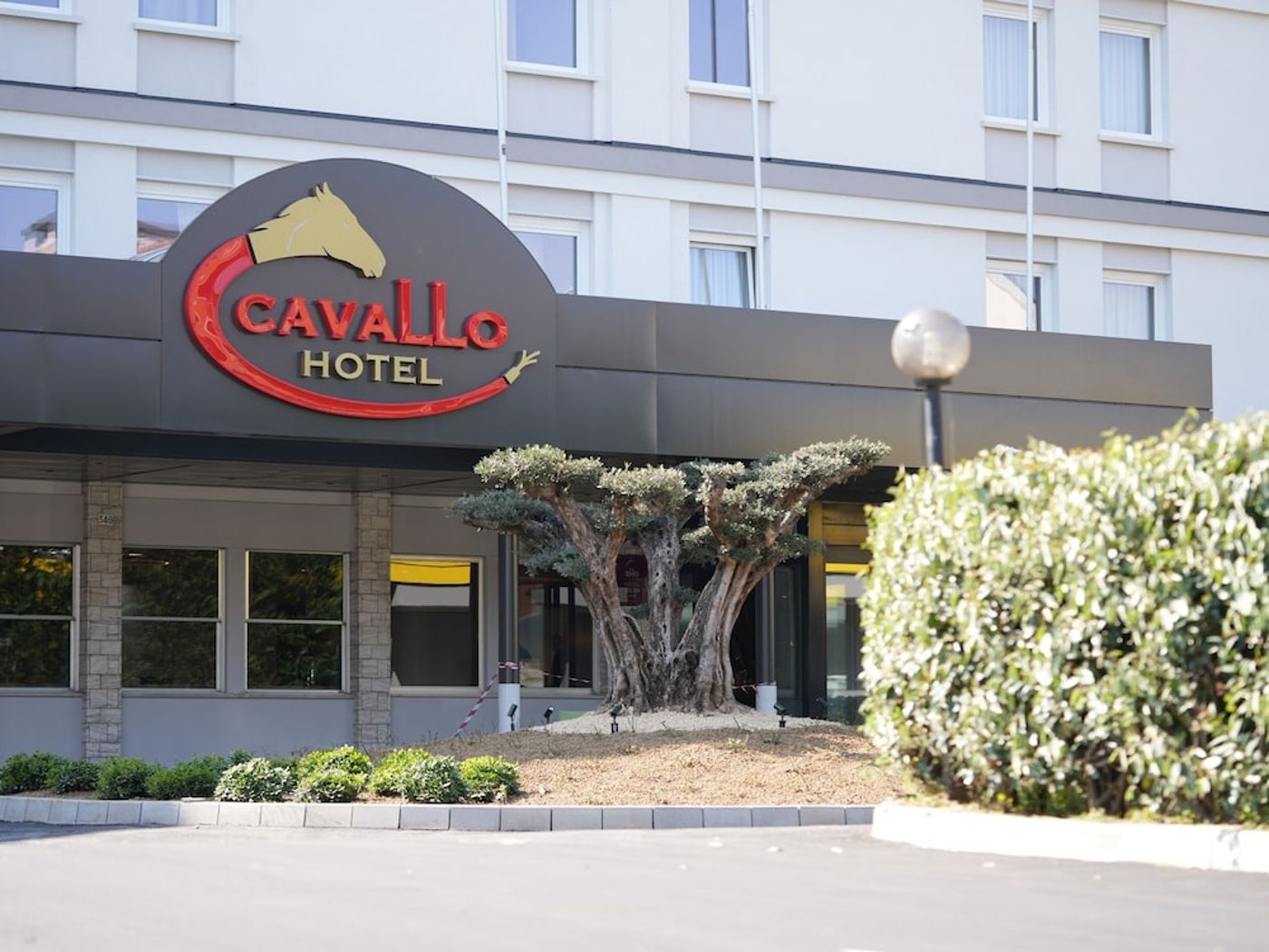 expedia-3164522-1