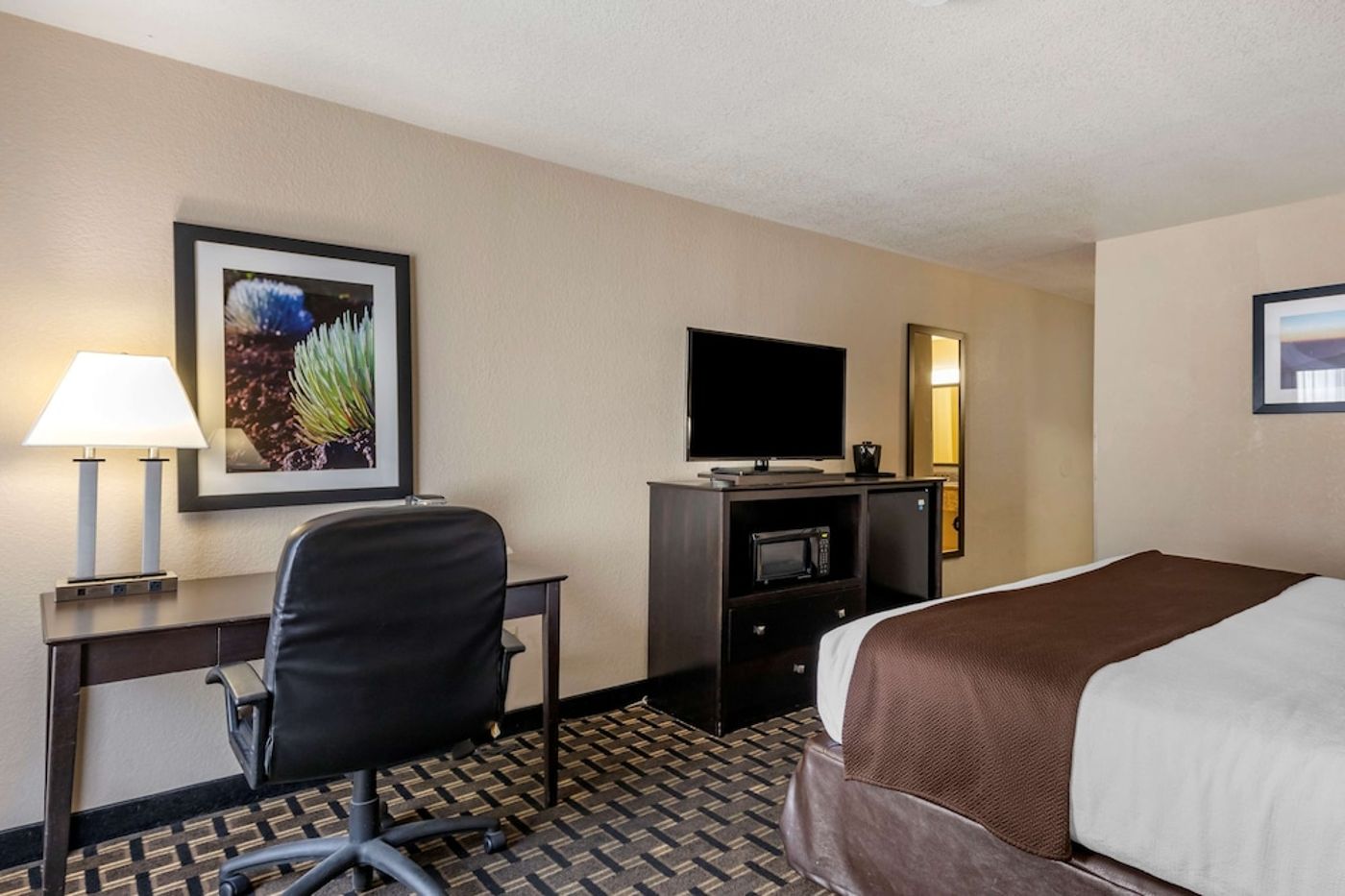 expedia-3160857-20