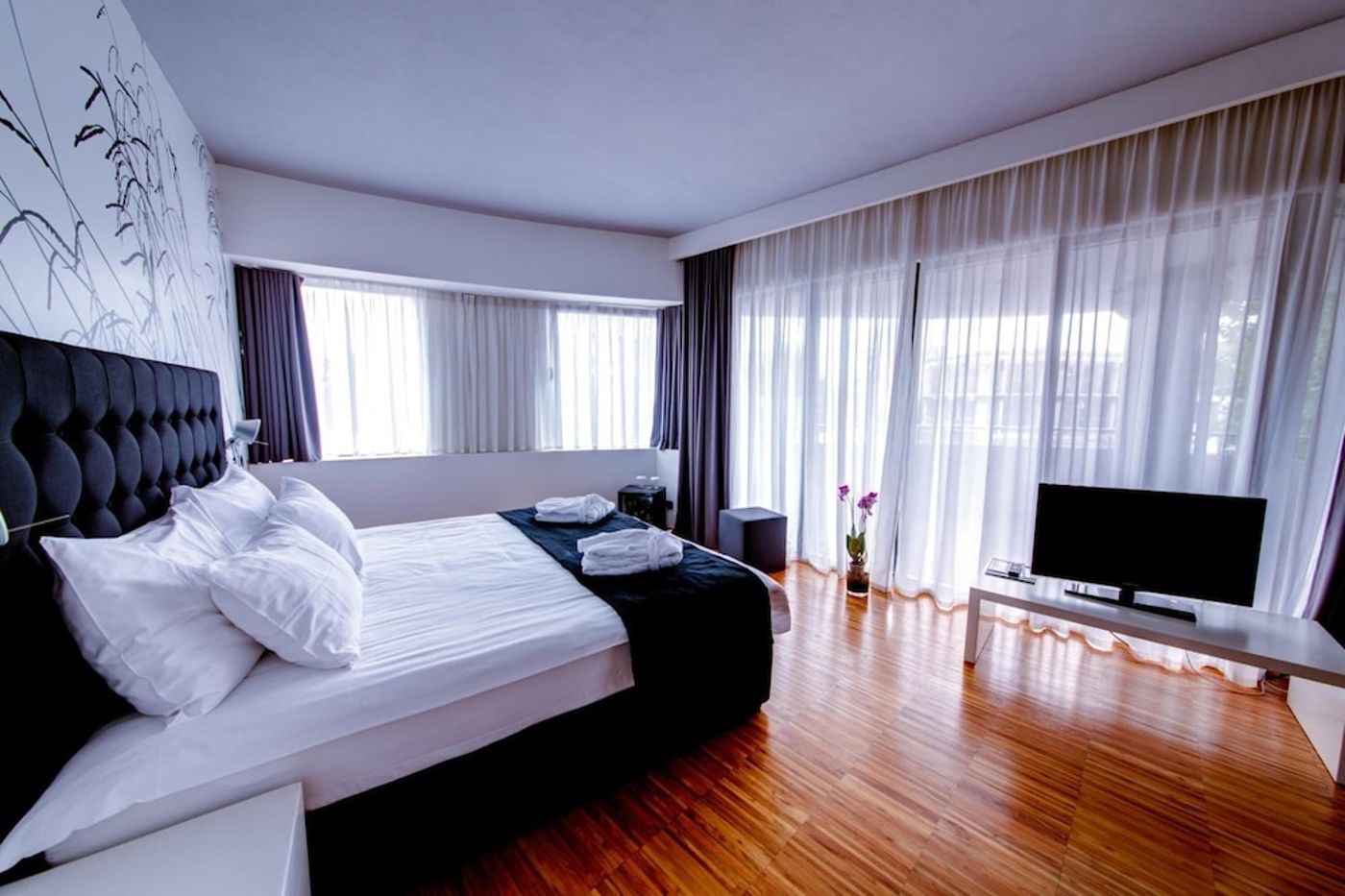 expedia-3160430-22