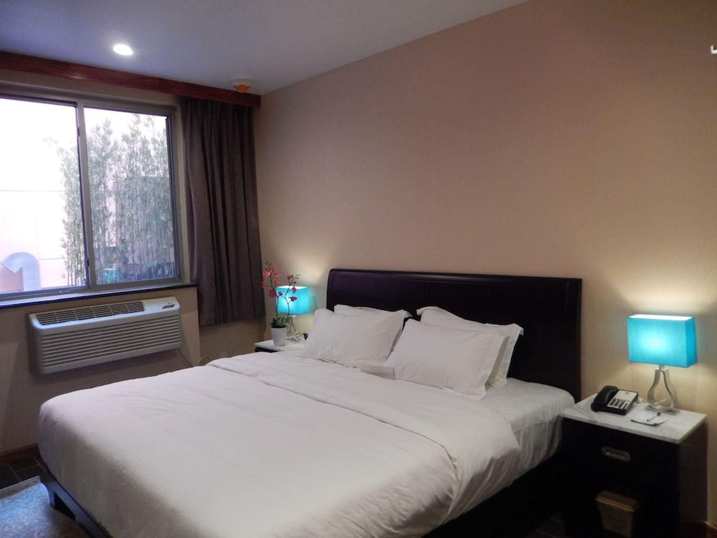 expedia-3162495-6