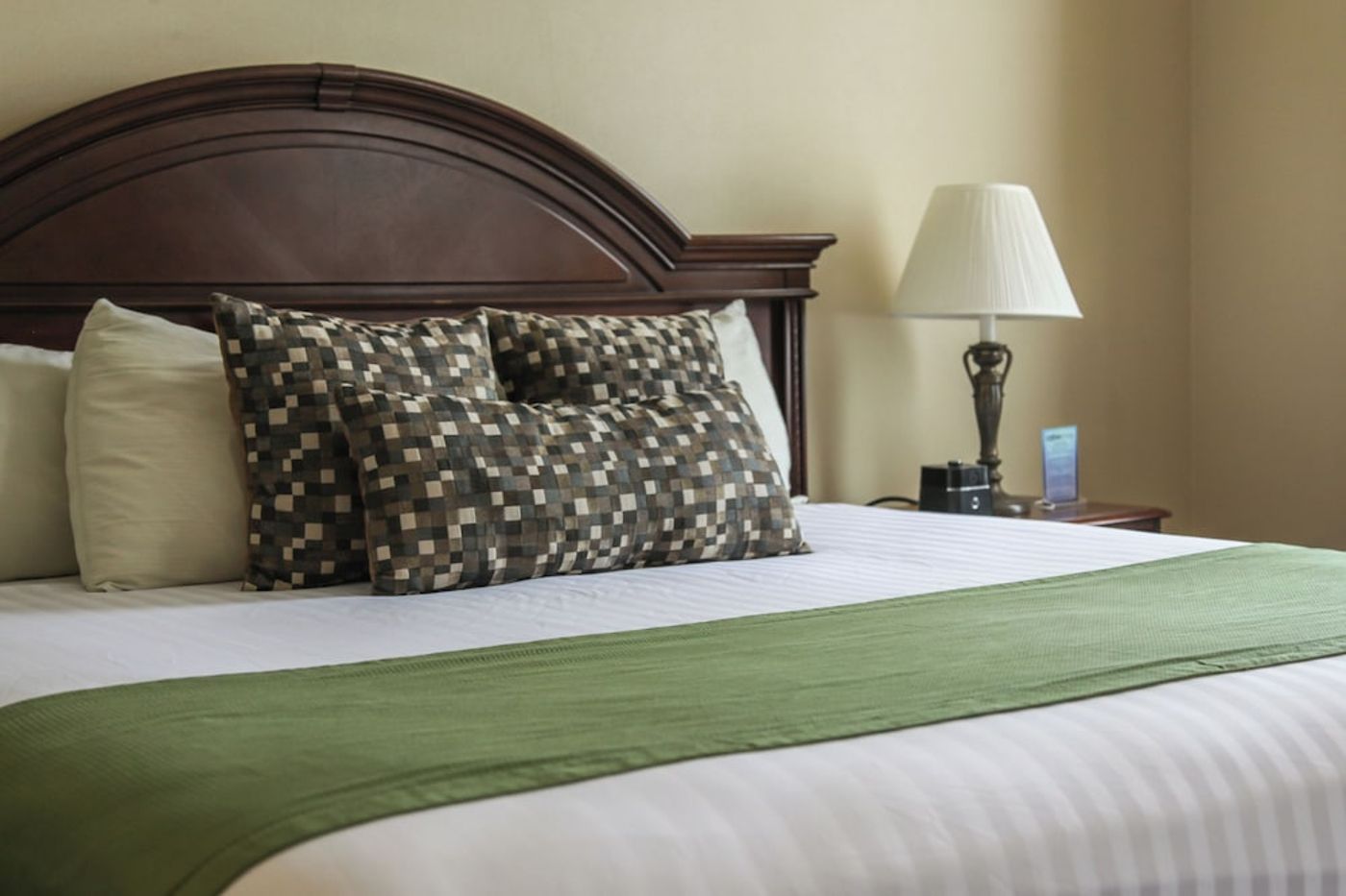 expedia-3161081-25
