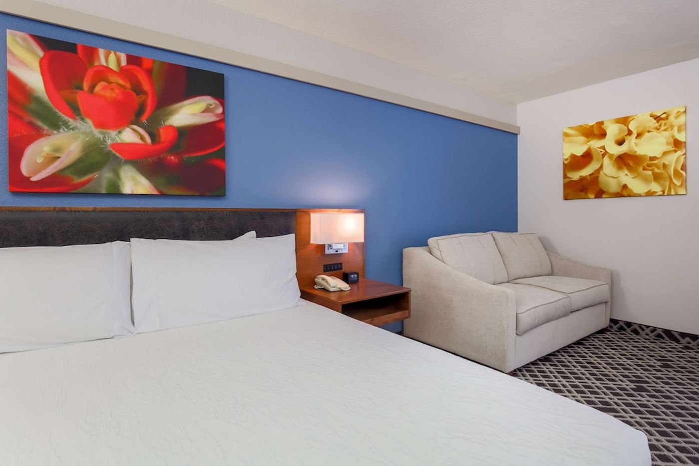 expedia-3156745-24