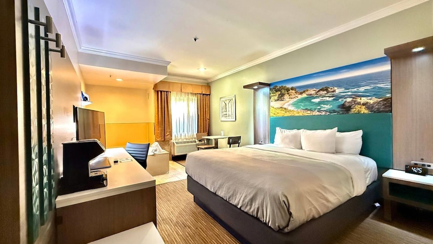 expedia-3159845-11