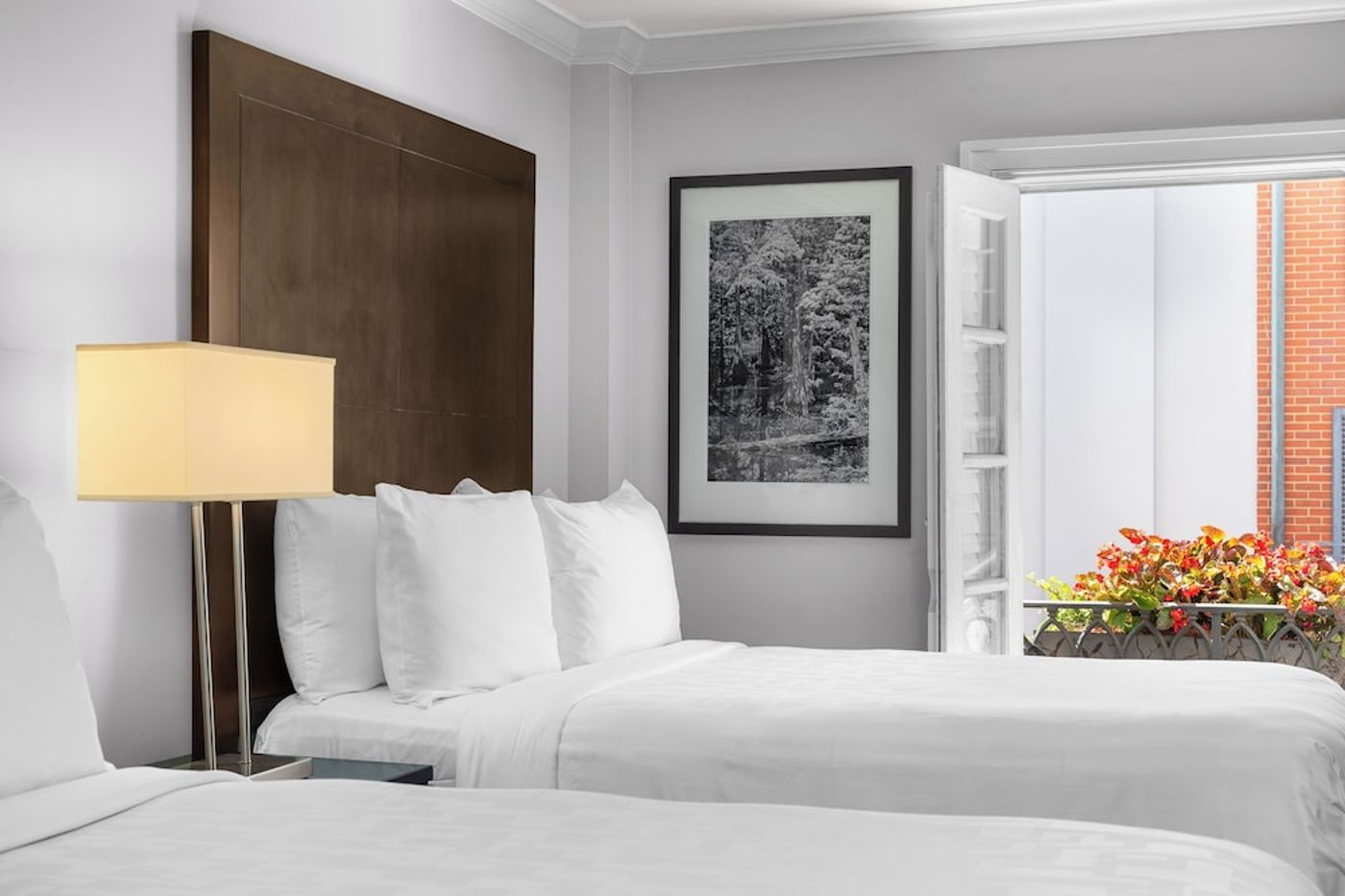 expedia-3161473-23