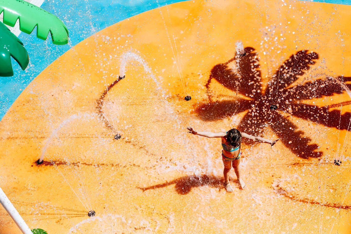 24.03.26 Coral Los Alisios