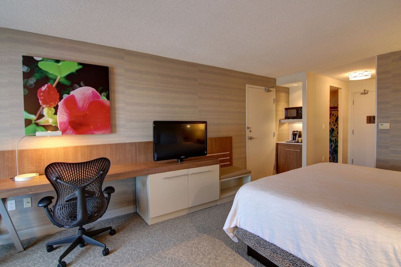 expedia-3165545-13